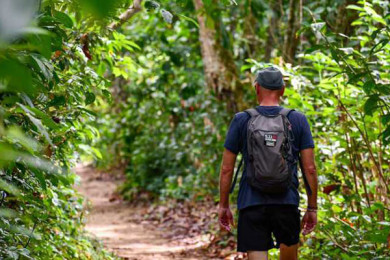 Caminata Parque Nacional Cahuita